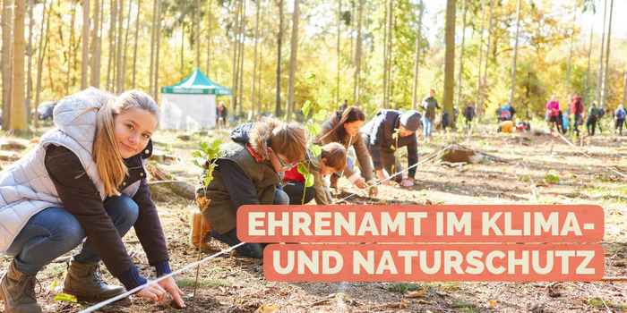 Menschen enegangieren sich zusammen in einem Wald an einem Naturschutzprojekt.