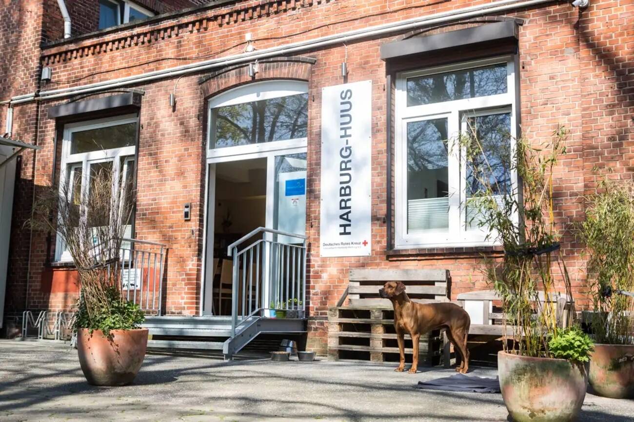 Hilf uns Wohnungslosen zu helfen