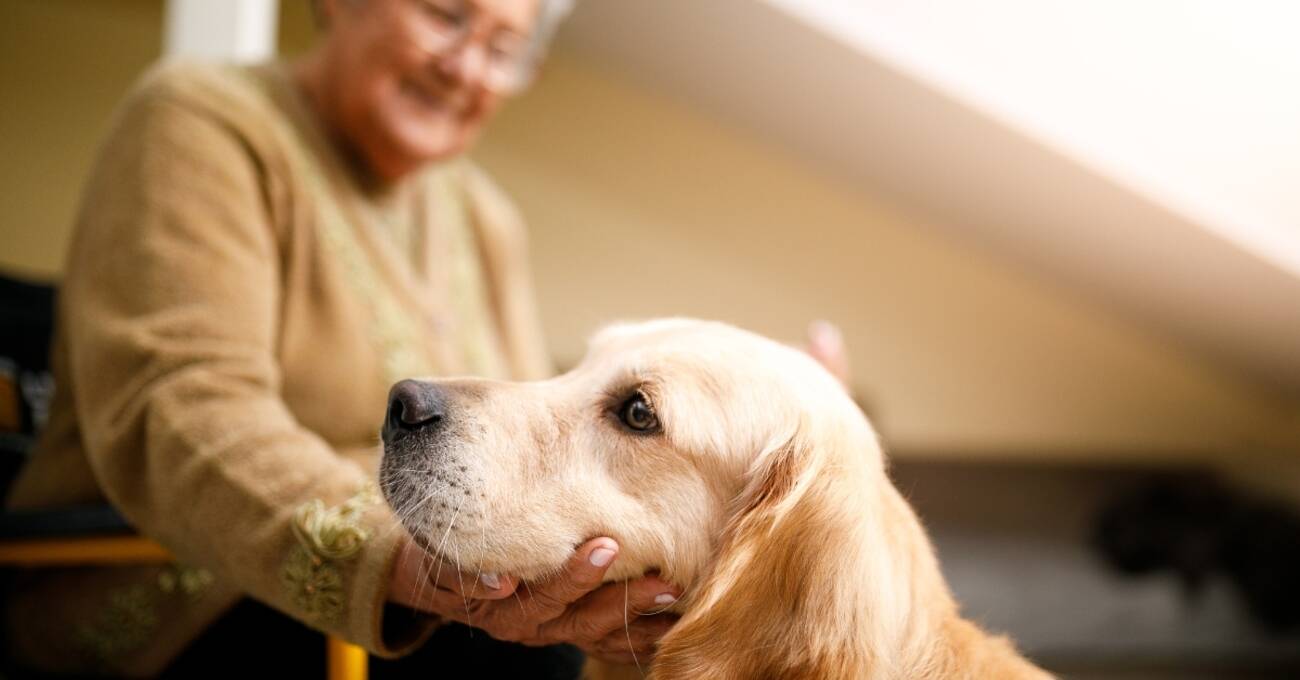 Accompany an 87-year-old senior woman mobility assistance for older people in Lichtenberg